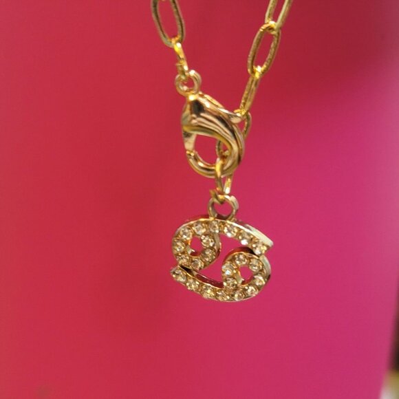 Cancer Zodiac Sign Tumbler Charm - Picture 3 of 4